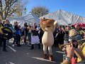 foire aux champignons (11)